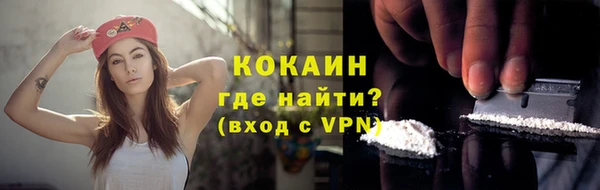 2c-b Инсар
