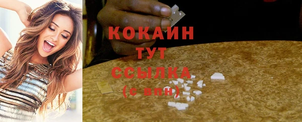 2c-b Инсар