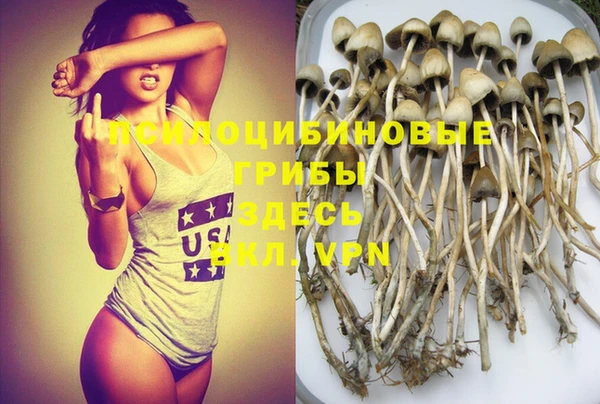 ГАЛЛЮЦИНОГЕННЫЕ ГРИБЫ Алексеевка