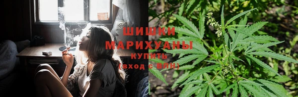 MESCALINE Иннополис