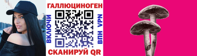 площадка официальный сайт  Каменногорск  Галлюциногенные грибы ЛСД  даркнет сайт 
